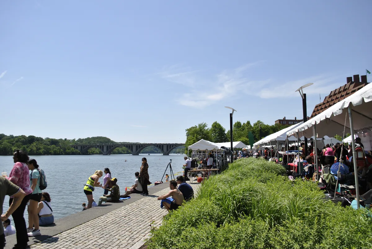 DC Dragon Boat Festival at Georgetown Waterfront Park